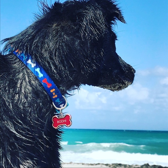 Meet your Posher, Matthew - Picture 1 of 1